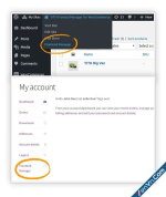 content-003.webp.png