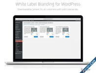 content-003.webp.png