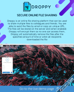 content-002.webp.png