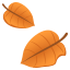 005-_.png
