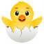 008-_.png