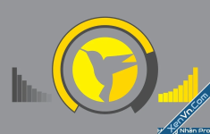 content-001.webp.png
