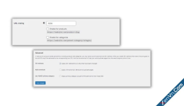 content-003.webp.png