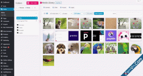 content-002.gif content-002.gif